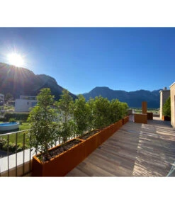 Palatino Cortenstahl-Pflanzgefäß Lotte -Angebote Pflanz Lust Store 2015279 WE MO 002 PalatinoPflanzkastenLotte100