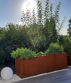 Palatino Cortenstahl-Pflanzgefäß Lotte -Angebote Pflanz Lust Store 2015279 WE MO 003 PalatinoPflanzkastenLotte100