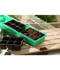 Dehner Zimmergewächshaus Frans, 54 X 15 X 12 Cm -Angebote Pflanz Lust Store 207456 BildM 001 RombergZimmergewaechshausFransFensterbGewH54X15x12