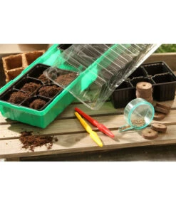 Dehner Zimmergewächshaus Frans, 54 X 15 X 12 Cm -Angebote Pflanz Lust Store 207456 BildM 002 RombergZimmergewaechshausFransFensterbGewH54X15x12