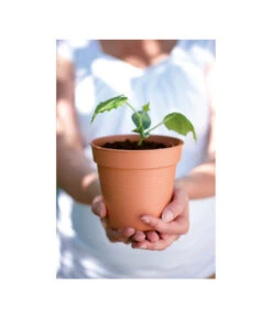 Angebote Pflanz Lust Store -Angebote Pflanz Lust Store 3009693 WE MO 001 StarterSetToepfeSchwarz10StueckElho