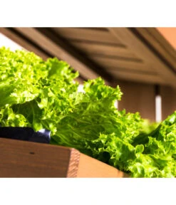 Hecht Hochbeet Cube 4, Ca. B82/H145/T50 Cm -Angebote Pflanz Lust Store 3060399 WE DE 003 HechtHochbeetCube4NEU