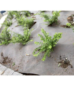 Dehner Rindenmulch-Unterlage, Ca. L300/B200 Cm -Angebote Pflanz Lust Store 3079696 BildM 002 RindenmulchUnterlageFuerDieGartenpflegeRindenmulchUnterlage2X3