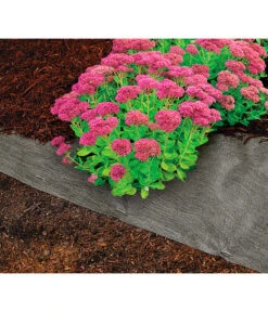 Dehner Rindenmulch-Unterlage, Ca. L300/B200 Cm -Angebote Pflanz Lust Store 3079696 WE MO 004 RindenmulchUnterlageMulchunterlageWurzelsperre