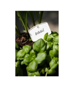 Elho Pflanz-Stift, 5 Stück 5 Elho Pflanz-Stift, 5 Stück -Angebote Pflanz Lust Store 3266806 MO FS 001 PflanzstiftMweissElhoEtikett