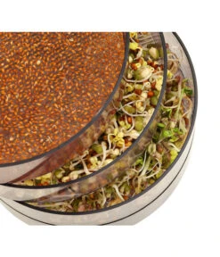 Dehner Sprossenhaus, 4 Schalen -Angebote Pflanz Lust Store 3677101 WE MO 002 DehnerSprossenhausKeimsprossen