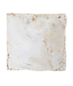 Pilzmännchen Bio Pilzzuchtset Austernpilz 5 Pilzmännchen Bio Pilzzuchtset Austernpilz -Angebote Pflanz Lust Store 3940285 BildD 002 PilzmaennchenBioHomePilzzuchtsetAusternpilzPilzbrutAusternpilzSet