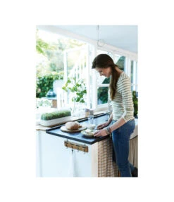 Elho Anzuchthaube L 5 Elho Anzuchthaube L -Angebote Pflanz Lust Store 4026704 WE MO 001 AnzuchthausLTransparentElho