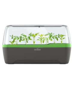 Romberg BoQube Gewächshaus 13 Romberg BoQube Gewächshaus -Angebote Pflanz Lust Store 4299970 WE FS 005 RombergGewaechshausZimmergewaechshausAnzucht