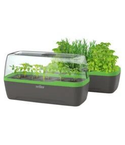 Romberg BoQube Gewächshaus 14 Romberg BoQube Gewächshaus -Angebote Pflanz Lust Store 4299970 WE FS 006 BoQubeGewaechshausZimmergewaechshaus