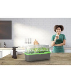 Romberg BoQube Gewächshaus 15 Romberg BoQube Gewächshaus -Angebote Pflanz Lust Store 4299970 WE MO 001 RombergGewaechshausZimmergewaechshausAnzucht