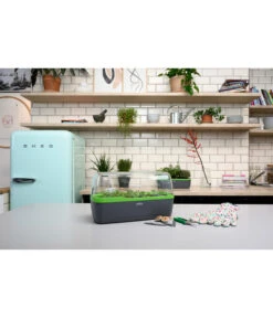 Romberg BoQube Gewächshaus 16 Romberg BoQube Gewächshaus -Angebote Pflanz Lust Store 4299970 WE MO 002 BoQubeGewaechshausZimmergewaechshaus