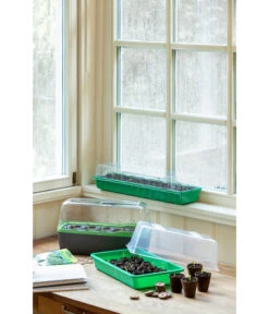 Romberg Zimmergewächshaus 5 Romberg Zimmergewächshaus -Angebote Pflanz Lust Store 4299970 WE MO 004 BoQubeZimmergewaechshaus