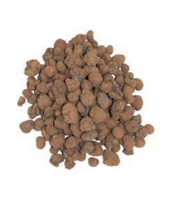 Floragard Tongranulat -Angebote Pflanz Lust Store 6624290 WE DE 001 FloragardTongranulat