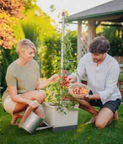 Gusta Garden Tomatentopf Tom Tomato, Ca. B35/H135/T28 Cm -Angebote Pflanz Lust Store 6627053 WE MO 001 TomTomatoTomatenanbau