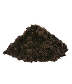 Dehner Green Nature Universal-Erde, 54 X 18 Liter -Angebote Pflanz Lust Store 6759815 WE DE 002 DehnerGreenNatureUniversalErde18l