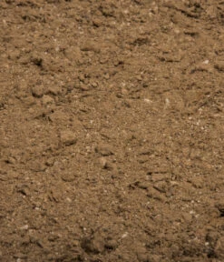 COMPO BIO Naturdünger Mit Guano -Angebote Pflanz Lust Store 6768451 WE DE 003 COMPOBIONaturduengermitGuano