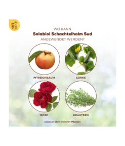 Solabiol® Schachtelhalm Sud, 1 L -Angebote Pflanz Lust Store 6938187 WE DE 003 SolabiolSchachtelhalmSud