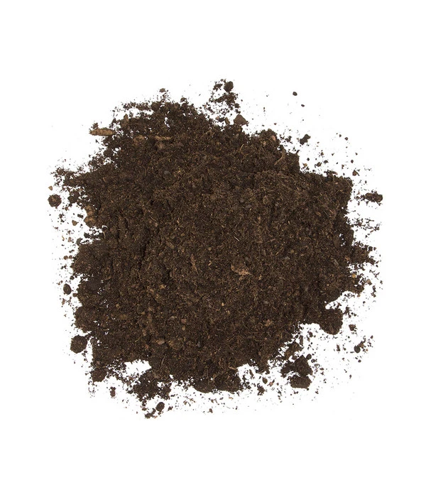 Floragard Aktiv Grünpflanzen- Und Palmenerde, 56 X 20 L 5 Floragard Aktiv Grünpflanzen- Und Palmenerde, 56 X 20 L – Bild 5