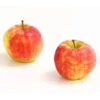 Herbstapfel 'Elstar'