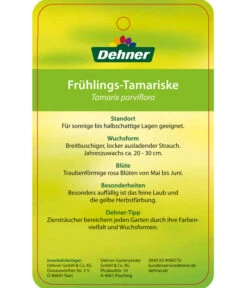 Frühlings-Tamariske -Angebote Pflanz Lust Store 7495427 Fruehlings Tamariske Etikett 2