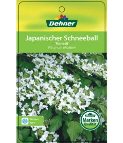 Japanischer Etagen-Schneeball 'Mariesii' -Angebote Pflanz Lust Store 7537194 JapanischerSchneeballMariesii Etikett 1