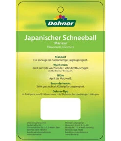 Japanischer Etagen-Schneeball 'Mariesii' -Angebote Pflanz Lust Store 7537194 JapanischerSchneeballMariesii Etikett 2