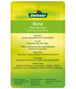 Winterbirne 'Alexander Lucas' -Angebote Pflanz Lust Store 7602709 BirneAlexanderLucas Etikett 2
