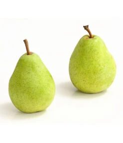 Winterbirne 'Alexander Lucas' -Angebote Pflanz Lust Store 7602709 WE DE 007 BirneAlexanderLucasDehnerExpressHerzig