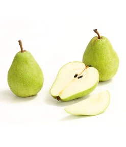 Winterbirne 'Alexander Lucas' -Angebote Pflanz Lust Store 7602709 WE DE 008 BirneAlexanderLucasDehnerExpressHerzig