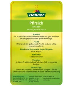 Dehner Pfirsich 'Amsden' -Angebote Pflanz Lust Store 7603665 PfirsichAmsden Etikett 2