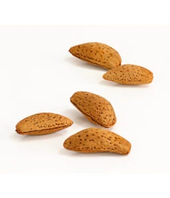 Mandelbaum -Angebote Pflanz Lust Store 7603889 WE DE 002 MandelPalatinaPrunusDulcisDehnerExpressHerzig