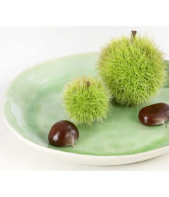 Esskastanie 'Bouche De Betizac' 7 Esskastanie 'Bouche De Betizac' -Angebote Pflanz Lust Store 7621998 PR DE 002 CastaneaSativaBetizacEsskastanieDehnerExpressHerzig