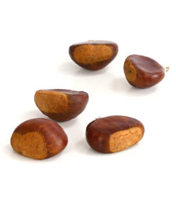 Esskastanie 'Bouche De Betizac' 9 Esskastanie 'Bouche De Betizac' -Angebote Pflanz Lust Store 7621998 WE DE 003 EsskastanieMaroneCastaneaSativaDehnerExpressHerzig