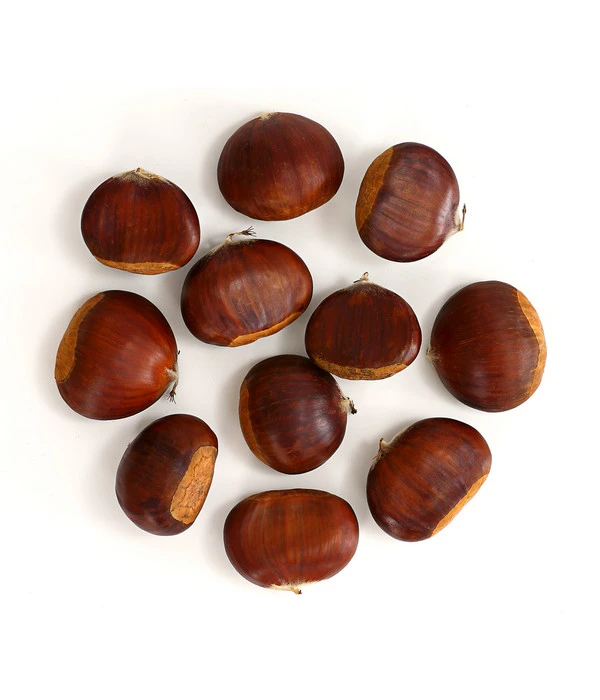 Esskastanie 'Bouche De Betizac' 4 Esskastanie 'Bouche De Betizac' – Bild 4