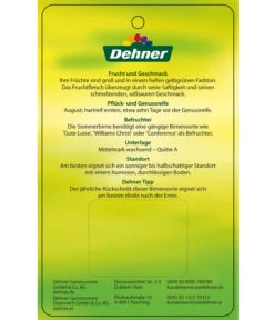 Sommerbirne 'Clapps Liebling' 5 Sommerbirne 'Clapps Liebling' -Angebote Pflanz Lust Store 7625494 SommerbirneClappsLiebling Etikett 2