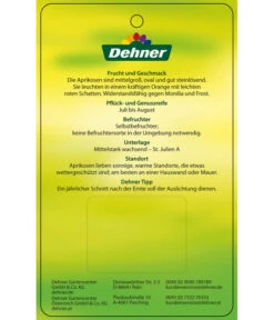 Aprikose 'Compacta' -Angebote Pflanz Lust Store 7626021 AprikoseCompacta Etikett 2