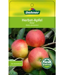 Herbstapfel 'Elstar' -Angebote Pflanz Lust Store 7639164 HerbstapfelElstar Etikett 1