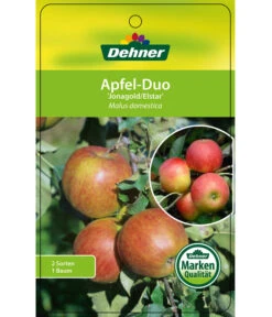 Apfel-Duo 'Jonagold'/'Elstar' -Angebote Pflanz Lust Store 7639248 Apfel DuoJonagoldElstar Etikett 1