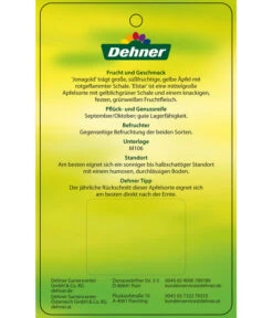 Apfel-Duo 'Jonagold'/'Elstar' -Angebote Pflanz Lust Store 7639248 Apfel DuoJonagoldElstar Etikett 2