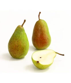 Sommerbirne 'Gute Luise' 11 Sommerbirne 'Gute Luise' -Angebote Pflanz Lust Store 7658578 WE DE 006 BirneGuteLuiseDehnerExpressHerzig