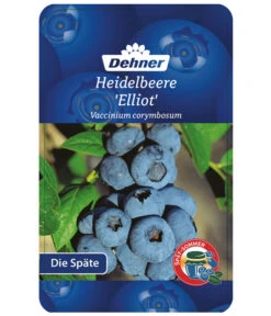 Heidelbeere 'Elliot' -Angebote Pflanz Lust Store 7665227 HeidelbeereElliot Etikett 1