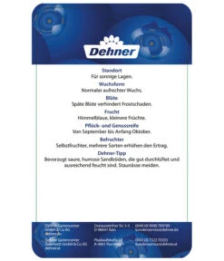 Heidelbeere 'Elliot' -Angebote Pflanz Lust Store 7665227 HeidelbeereElliot Etikett 2