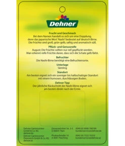 Nashi-Birne 'Nijiseiki' -Angebote Pflanz Lust Store 7719826 Nashi BirneNijiseiki Etikett 2