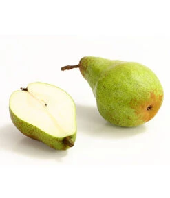 Winterbirne 'Novembra' -Angebote Pflanz Lust Store 7723695 WE DE 004 BirneNovemberDehnerExpressHerzig