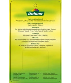 Herbstapfel 'Rebella' -Angebote Pflanz Lust Store 7737075 HerbstapfelRebella Etikett 2