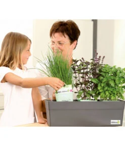 GREENBAR® Naschtomate -Angebote Pflanz Lust Store 7750482 WE MO 009 GreenbarAnleitungIndoor