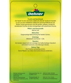 Kirschen-Duo 'Sunburst/Burlat' -Angebote Pflanz Lust Store 7760713 Suesskirschen DuoSunburstBurlat Etikett 2