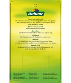 Pfirsich 'Suncrest' -Angebote Pflanz Lust Store 7760754 GelbfleischigerPfirsichSuncrest Etikett 2