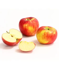 Herbstapfel 'Topaz' -Angebote Pflanz Lust Store 7763931 WE DE 008 ApfelTopazDehnerExpressHerzig